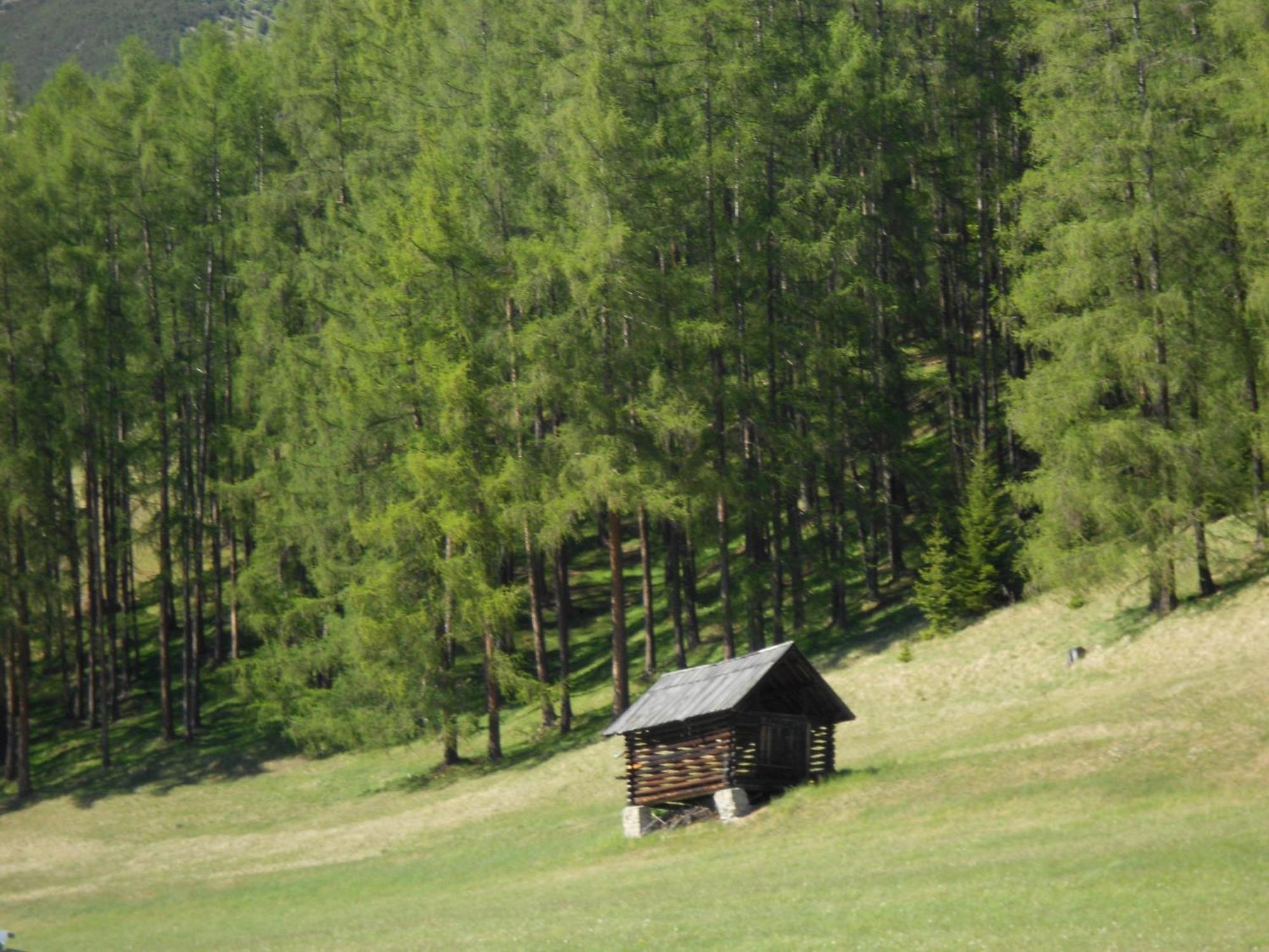 Haus Thurner Obsteig Εξωτερικό φωτογραφία